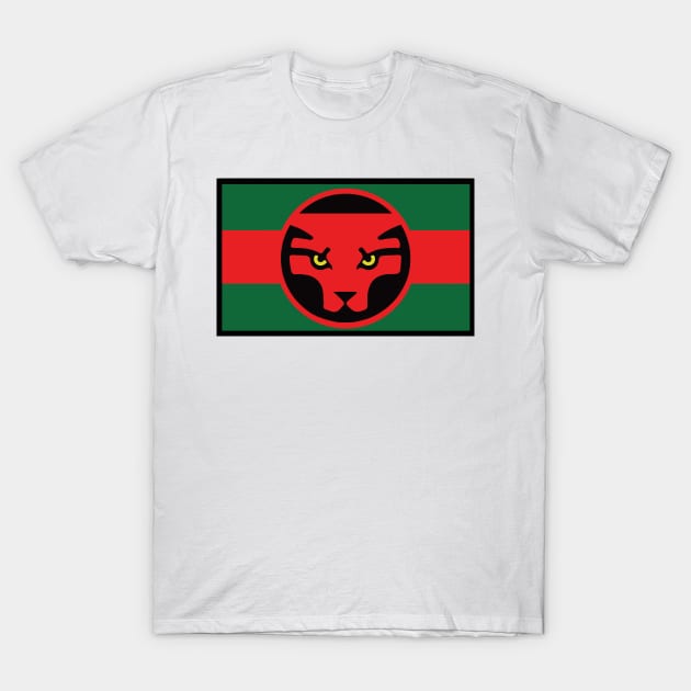 Wakanda Flag T-Shirt by Shirts & Shenanigans 